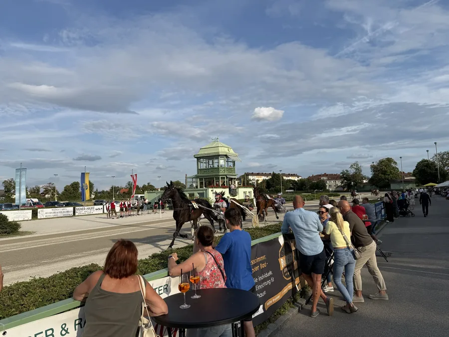 Harness horses passing spectators along the Baden racecourse finish straight.