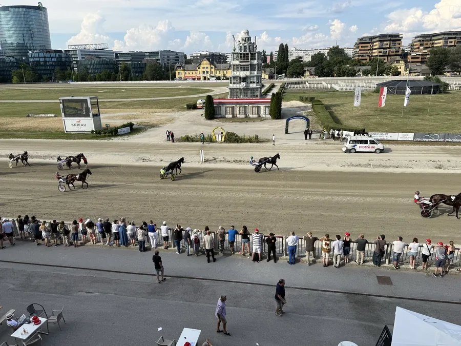 Harness horses racing past the finish line at Krieau racecourse.