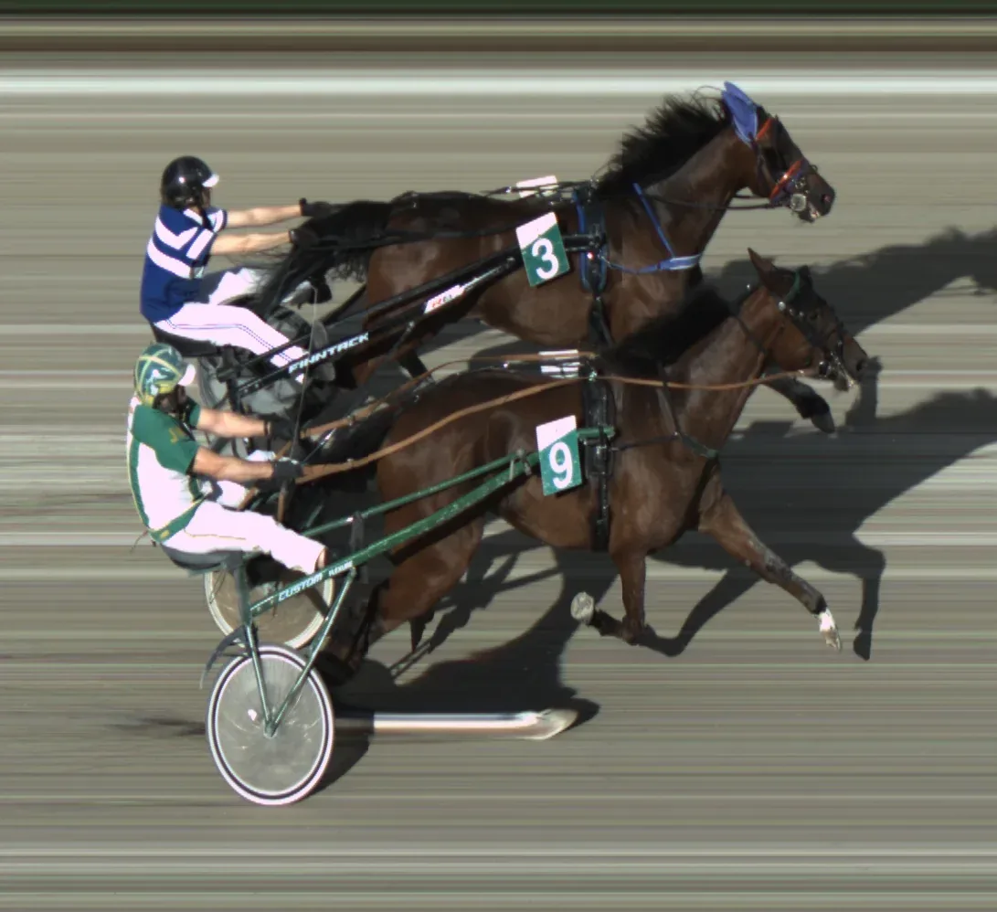 Photo-finish evidence image of harness horses crossing the finish line in a close race.